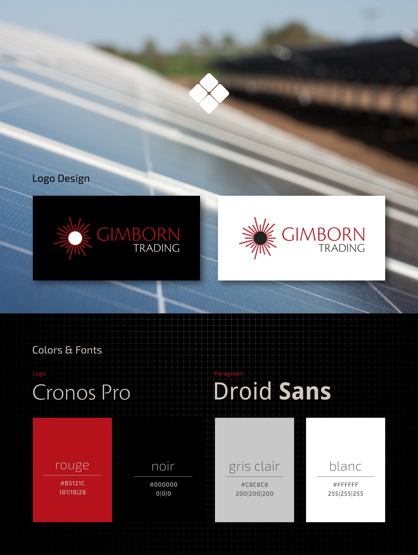 GimbornTrading - Logo, Schriften, Farben für Behance Portfolio